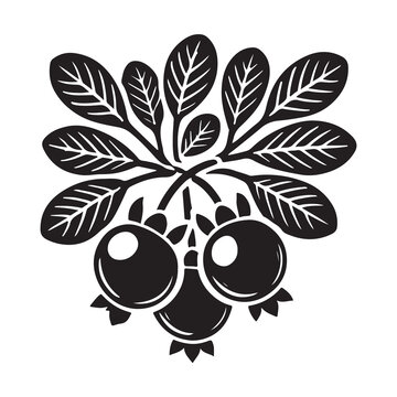 black berries with leaves clip art preview