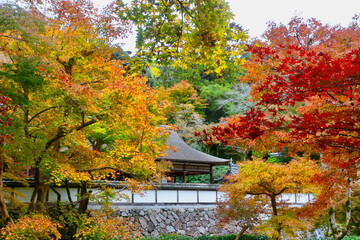 Obraz premium 正暦寺の紅葉（奈良県・菩提山町）