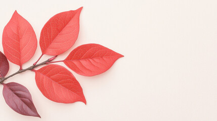 Obraz premium A collection of vibrant red leaves arranged artistically against a soft beige background, highlighting autumn's beauty and nature's colors.