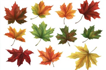Colorful Maple Leaves Showcase Autumn Hues and Seasonal Change Botany Theme.