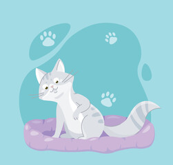 Naklejka premium Pictures with cat. Grey kitten sleep at violet pillow. Adorable domestic animal. Cute pet. Purebred mammal. Sticker for social networks and messengers. Flat vector illustration