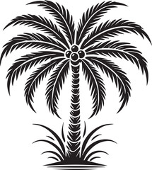 Silhouette of palm tree