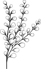 Hand drawn Flowers and Plants