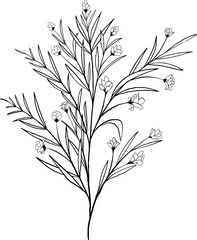 Hand drawn Flowers and Plants