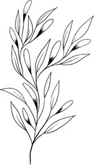 Hand drawn Flowers and plants