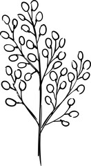 Obraz premium Hand drawn Flowers and plants