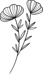 Hand drawn flowers and plants