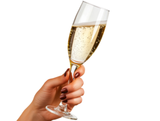 Elegant Hand Holding Champagne Glass. isolated transparent background