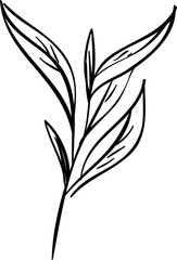 Hand drawn flowers and plants