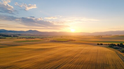 Fototapeta premium Sunset fields