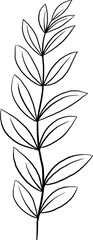 Hand drawn flowers and plants