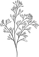 Hand drawn flowers and plants