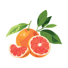 Vibrant vector illustration of Grapefruit. Perfect for print and digital designs