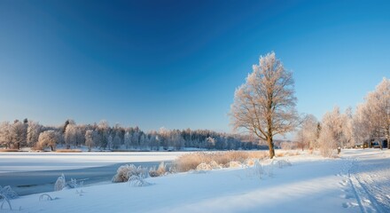 Obraz premium Snow-covered landscape with frosted trees under clear blue sky