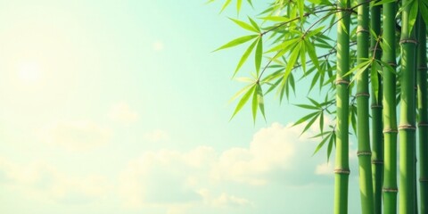 Naklejka premium Serene Bamboo Grove Under a Soft Sky A Tranquil Image Featuring Lush Green Foliage and Sunlight