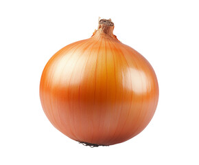 High-Quality PNG Onion Isolated on White Background – High Resolution