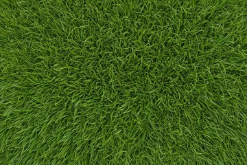 a close up of a green grass field with a white background