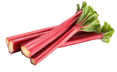 High-Quality PNG of Rhubarb stalks Isolated on White Background – High Resolution