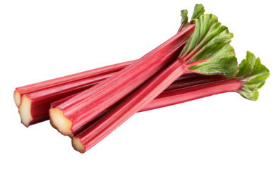 High-Quality PNG of Rhubarb stalks Isolated on White Background – High Resolution
