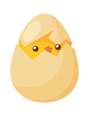 Baby chicken hatching vector illustration