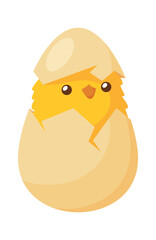 Baby bird appeared from egg