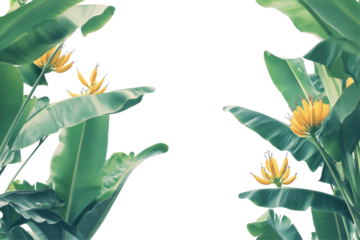 A detailed close-up of banana plants, emphasizing the texture of the leaves and the bright yellow color of the bananas, creating an appetizing and inviting image