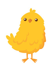 Cute baby farm chicken vector illustration