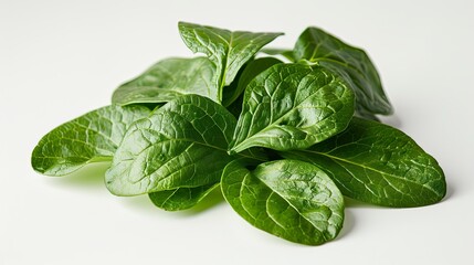 Fototapeta premium Fresh, vibrant green spinach leaves, piled in a small heap on a white background.