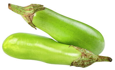 green eggplant isolated
