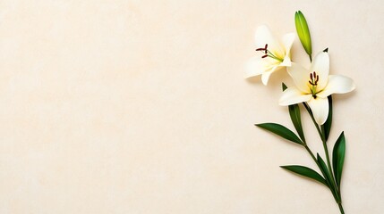 Vintage Lily Floral Background for Sympathy Card with Copy Space