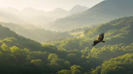 Obraz premium Golden Eagle Soaring Above Lush Green Background Wild Animals in the Serene Mountains Captured Nature's Beauty