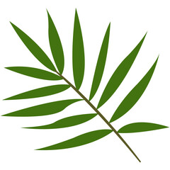 Green Tropical Leaves Illustration. Exotic Plant and Flower Design. Flat Vector Element