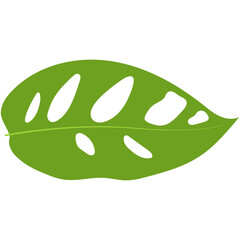 Green Tropical Leaves Illustration. Exotic Plant and Flower Design. Flat Vector Element