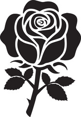 black and white roses