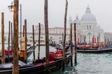 Gondolas at San Marco with Basilica Santa Maria della Salute in the Background