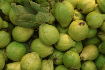 Close-up photo of guavas in market. Fruits background. Texture green guava.,fresh guava background