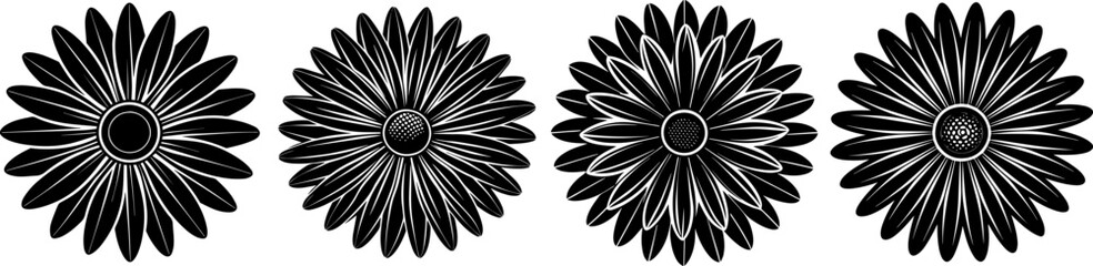 set daisy flower silhouette vector illustration
