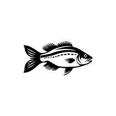 Fish Illustration