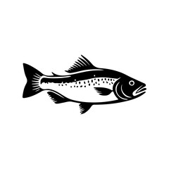 Fish Illustration