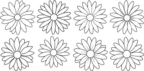 daisy flower outline vector illustration