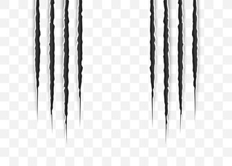 Cat scratch. Realistic Animal claws marks in black. Monster or dragon flat scratch marks. Damaged breaks and hollow scraps. Vector illustration.