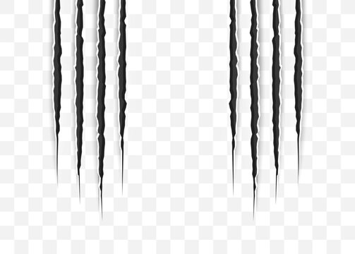 Cat scratch. Realistic Animal claws marks in black. Monster or dragon flat scratch marks. Damaged breaks and hollow scraps. Vector illustration.