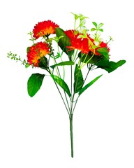 Chrysanthemum flowers element