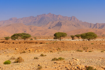 Desert valley in the Moroccan countryside near the Atlas Mountains