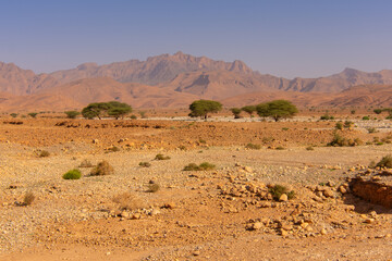 Desert valley in the Moroccan countryside near the Atlas Mountains
