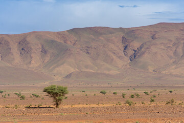 Desert valley in the Moroccan countryside near the Atlas Mountains