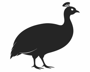 silhouette of Guinea fowl vector on white background
