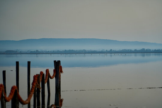 quiet and calm ria de Aveiro, Portugal.