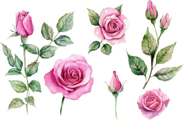 Naklejka premium pattern with pink roses