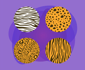 Jungle animal skin patterns in circles vector illustrations set. Cartoon drawings of seamless zebra, leopard, cheetah and tiger skin patterns on abstract background. Wildlife, design concept